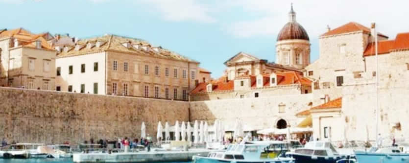 Find Your Dream Career